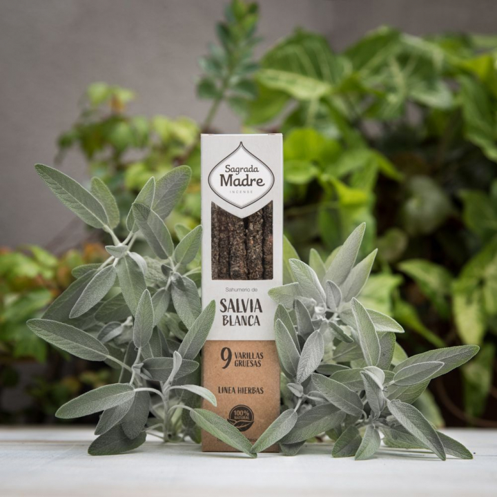 Salvia suitsuketikut 9kpl ryhmässä Koti & Sielu / Tunnelma & tuoksu / Suitsuke @ Rawfoodshop Scandinavia AB (23-01)