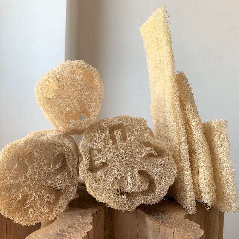 Loofah Sieni 25cm ryhmässä Iho & Vartalo / Vartalo / Sienet & Harjat @ Rawfoodshop Scandinavia AB (LOO-L)
