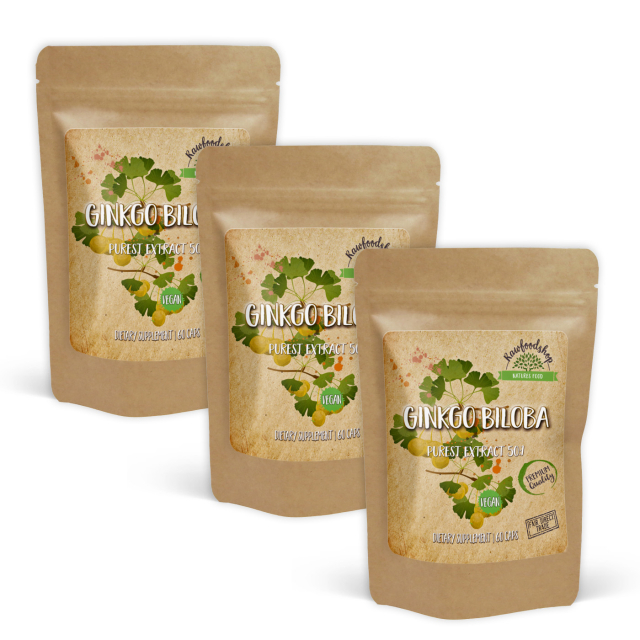 Ginkgo Biloba Extract 120mg 60 kapselia x 3 pakettia