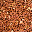 Maapähkinät Premium RAW LUOMU 1 kg