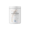 Holistic Auringonkukkalesitiini 350g