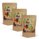 Berry Dream Mix LUOMU 1kg x 3 pakettia