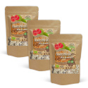 Kvinoa-puuro Chia & Vanilja LUOMU 400g x 3 pakettia