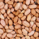 Maapähkinät Premium Kuoritut RAW LUOMU 500g