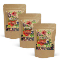 Berry Treat Tee LUOMU 100g x 3 pakettia