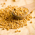 Sinapinsiemenet Keltaiset LUOMU 50g