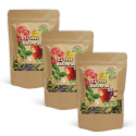 Feel Good Villi Yrttitee 100g x 3 pakettia