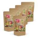 Donna Kamomilla Tee LUOMU 100g x 5 pakettia