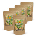 Voikukanlehti Tee 125g x 5 pakettia