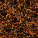Aprikoosinpalat LUOMU 1kg