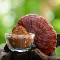 Kaakaojauhe Seremoniallinen Reishi & Chaga 100g