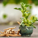 Kaakaojauhe Seremoniallinen Ashwagandha & Maca 100g