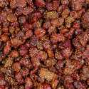 Mansikoita LUOMU 100g