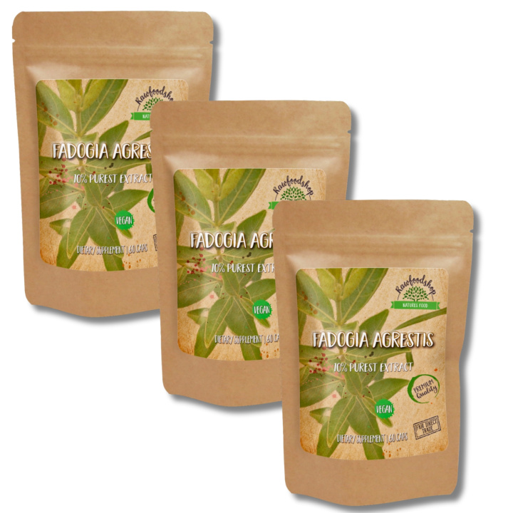 Fadogia Agrestis Extract 500mg 60 kapselia x 3 pakettia ryhmässä Ravintolisät / Yrtit ja Kasvit / Yrtit @ Rawfoodshop Scandinavia AB (CAPFAD60-SET3)