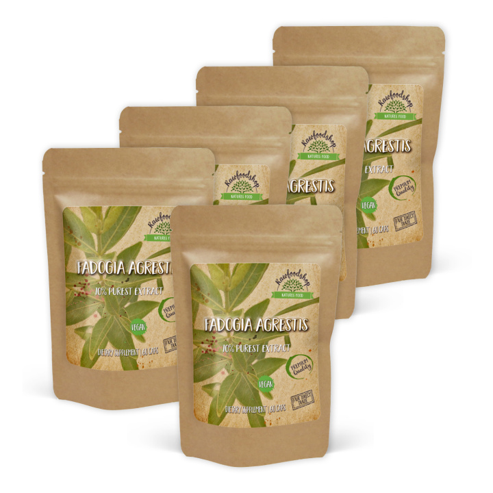 Fadogia Agrestis Extract 500mg 60 kapselia x 5 pakettia ryhmässä Ravintolisät / Yrtit ja Kasvit / Yrtit @ Rawfoodshop Scandinavia AB (CAPFAD60-SET5)
