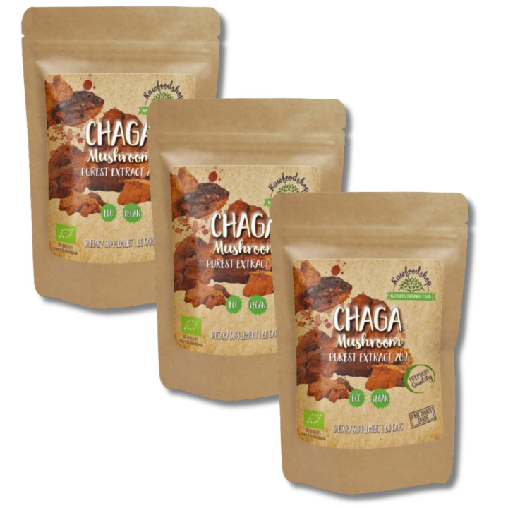 Chaga Extract LUOMU 400mg 60 kapselia x 3 pakettia ryhmässä Ravintolisät / Yrtit ja Kasvit / Sienet @ Rawfoodshop Scandinavia AB (CAPSCHA60-SET3)