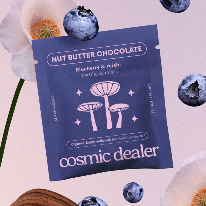 Suklaa Mustikka & Reishi LUOMU 20g ryhmässä Raaka-aineet / Karkkia & Suklaata / Suklaapatukat @ Rawfoodshop Scandinavia AB (CHAKRABLUE)