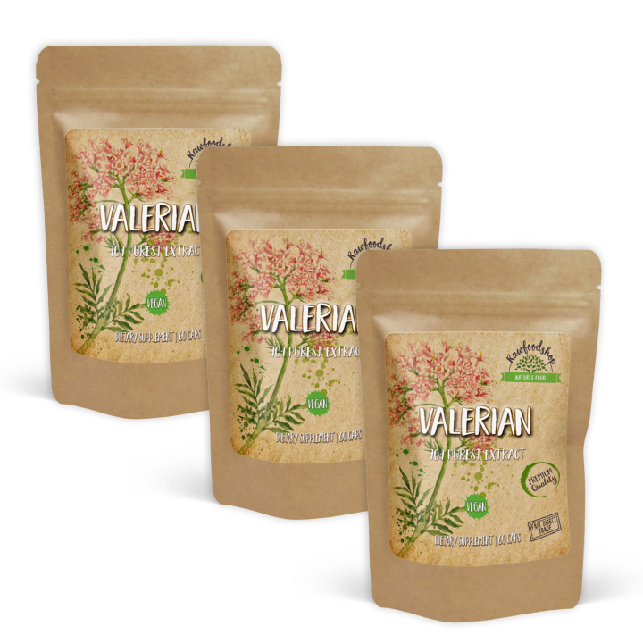 Valerian Extract 500mg 60 kapselia x 3 pakettia ryhmässä Ravintolisät / Yrtit ja Kasvit / Yrtit @ Rawfoodshop Scandinavia AB (CUVALE60CAP-SET3)