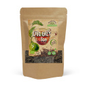 Earl Grey Tee LUOMU 100g