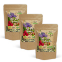 Acid-Base Fasting Tee LUOMU 50g x 3 pakettia
