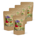 Acid-Base Fasting Tee LUOMU 50g x 5 pakettia
