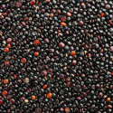 Quinoa Musta LUOMU 1kg