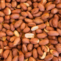Maapähkinät Premium RAW LUOMU 500g