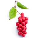 Schisandra-jauhe LUOMU 125g