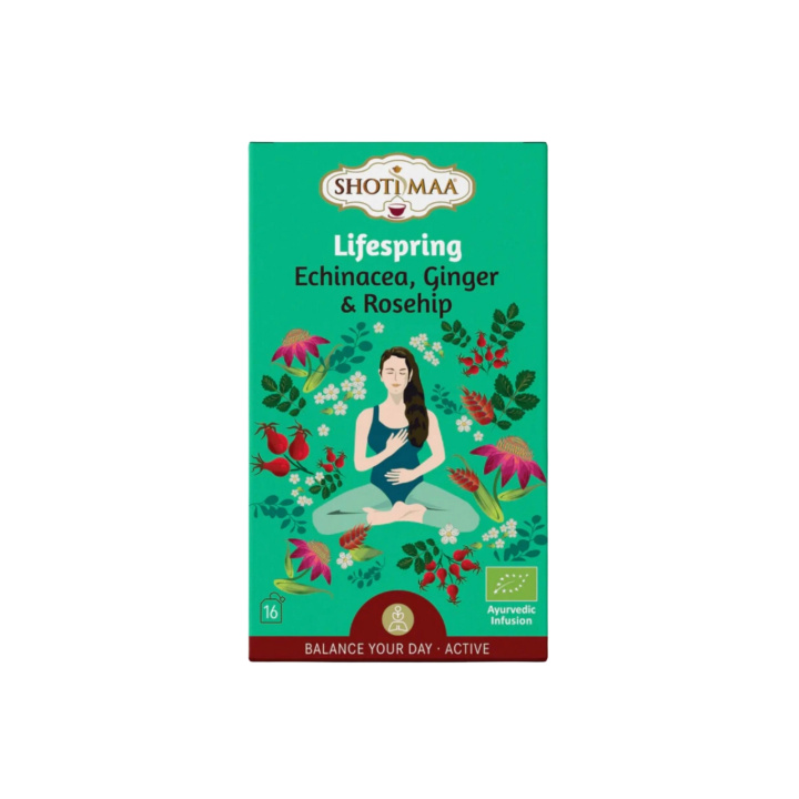 Echinacea, Inkivääri & Ruusunmarja Yrttitee LUOMU 16 x 2g ryhmässä Raaka-aineet / Juomat / Teet @ Rawfoodshop Scandinavia AB (SKU-798)