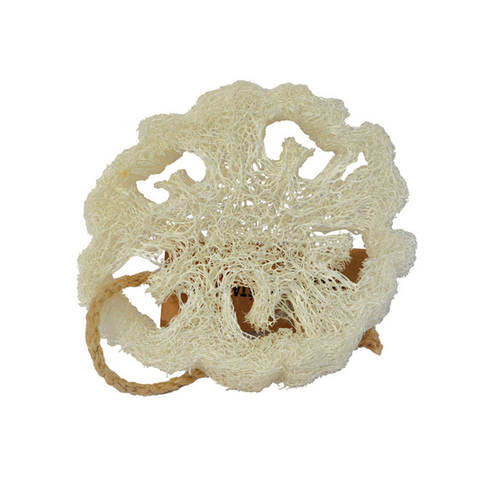 Loofah-sieni ryhmässä Iho & Vartalo @ Rawfoodshop Scandinavia AB (TADSPA7545)