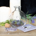 Lasi Magic Spell Jar Reseptivihkolla